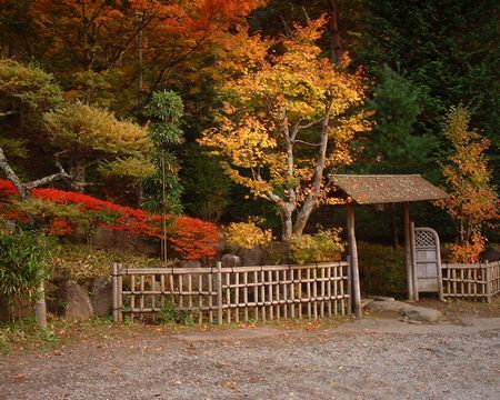 菱野温泉の紅葉